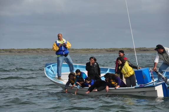 Turistas observam baleia em Puerto López Mateos, na Baja California - México